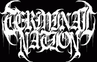 logo Terminal Nation